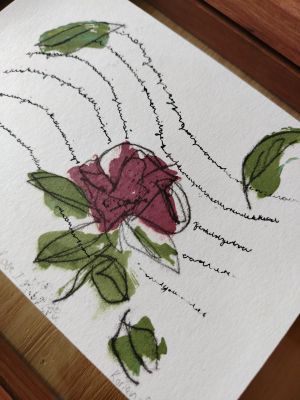 Haiku Rose I