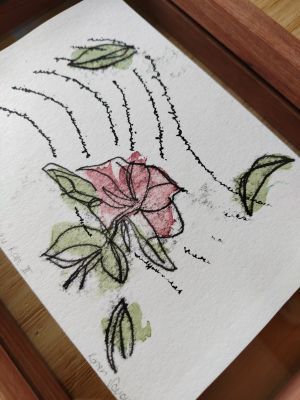 Haiku Rose II